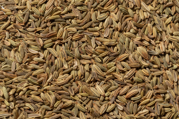 Whole Fennel Seed (1 lb.)