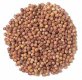 Whole Coriander (1 oz)