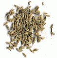 Ground Fennel Seed