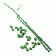 Whole Chives (0.2 oz)