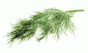 Whole Dill Weed (1 lb.)