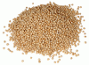 Whole Mustard Seed (1 lb.)