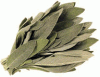 Ground Sage (1 lb.)