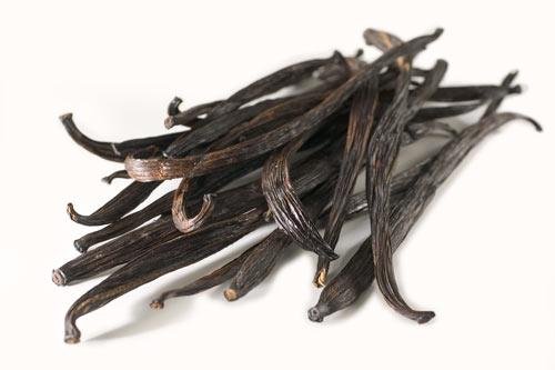 These vanilla beans are picked one by one when fully mature and yellow at These vanilla beans are picked one by one when fully mature and yellow at