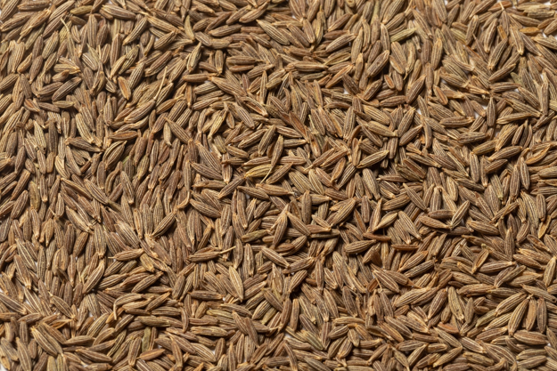 Whole Cumin (1 lb.)